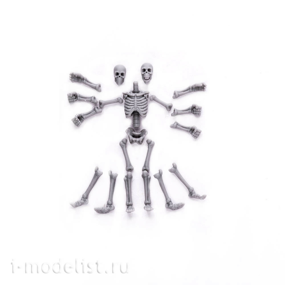 S-205 MiniWarPaint Skeletons, size S, 2 pcs.