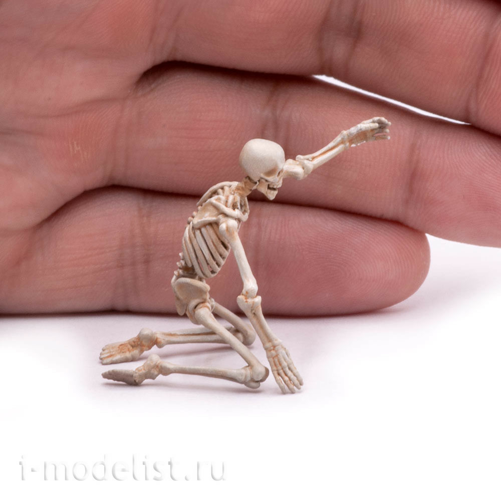 S-207 MiniWarPaint Skeleton, size M (1/35)