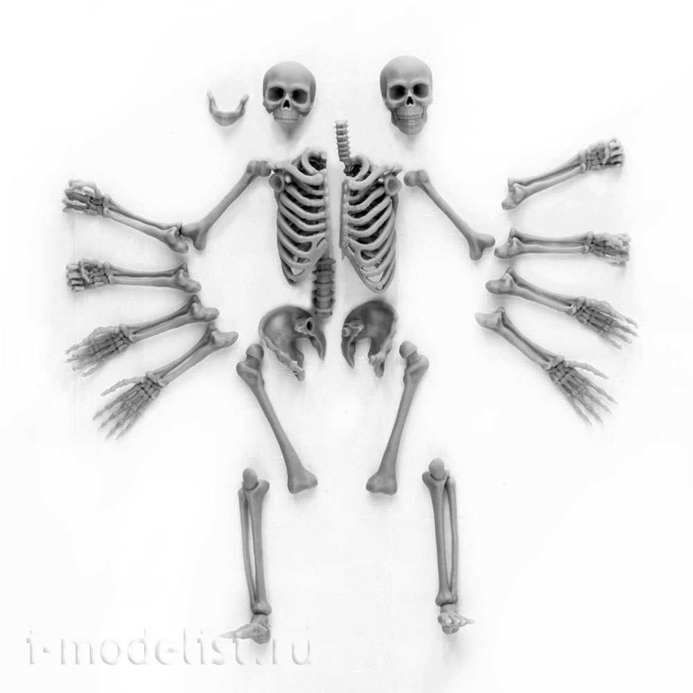 S-208 MiniWarPaint Skeleton, size L