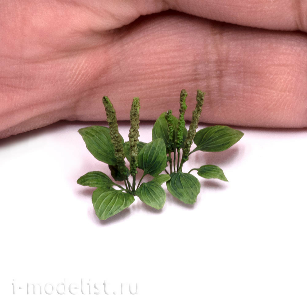 S-185 MiniWarPaint Plantain, size L