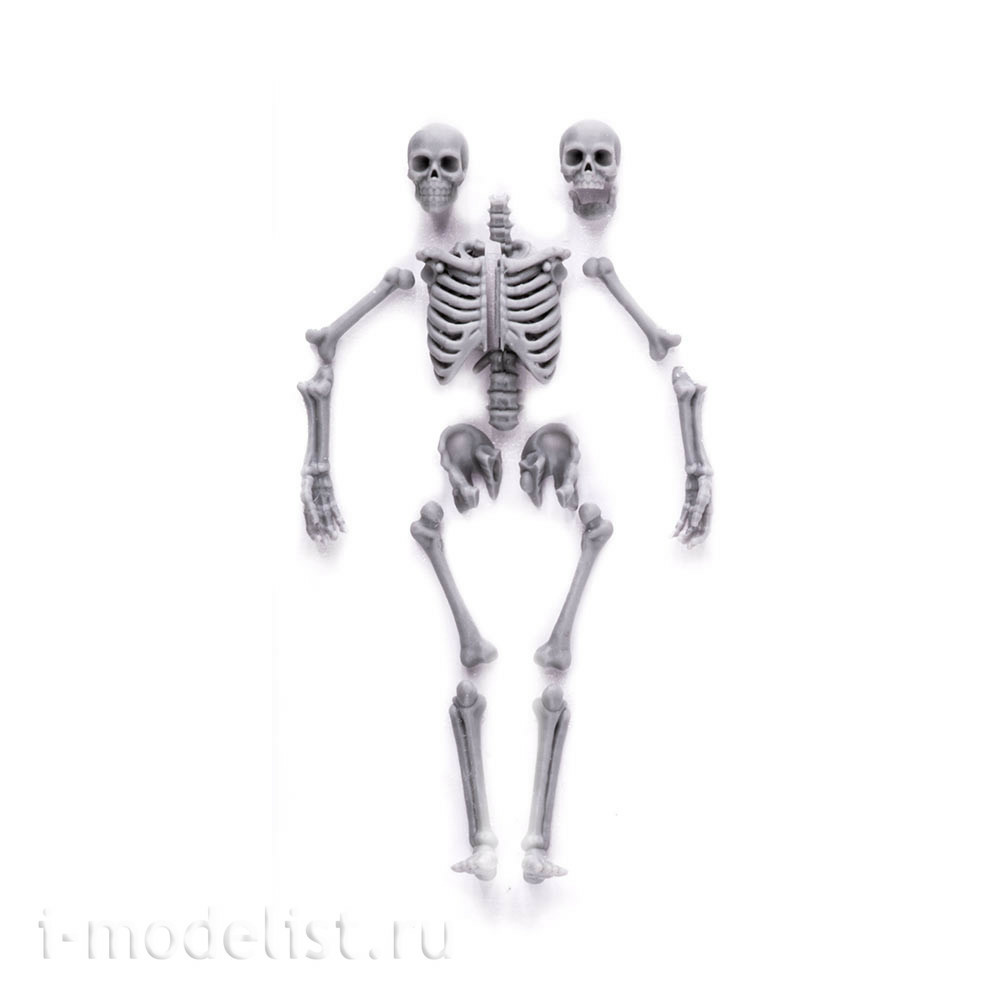 S-206 MiniWarPaint Skeleton, size M (1/32)