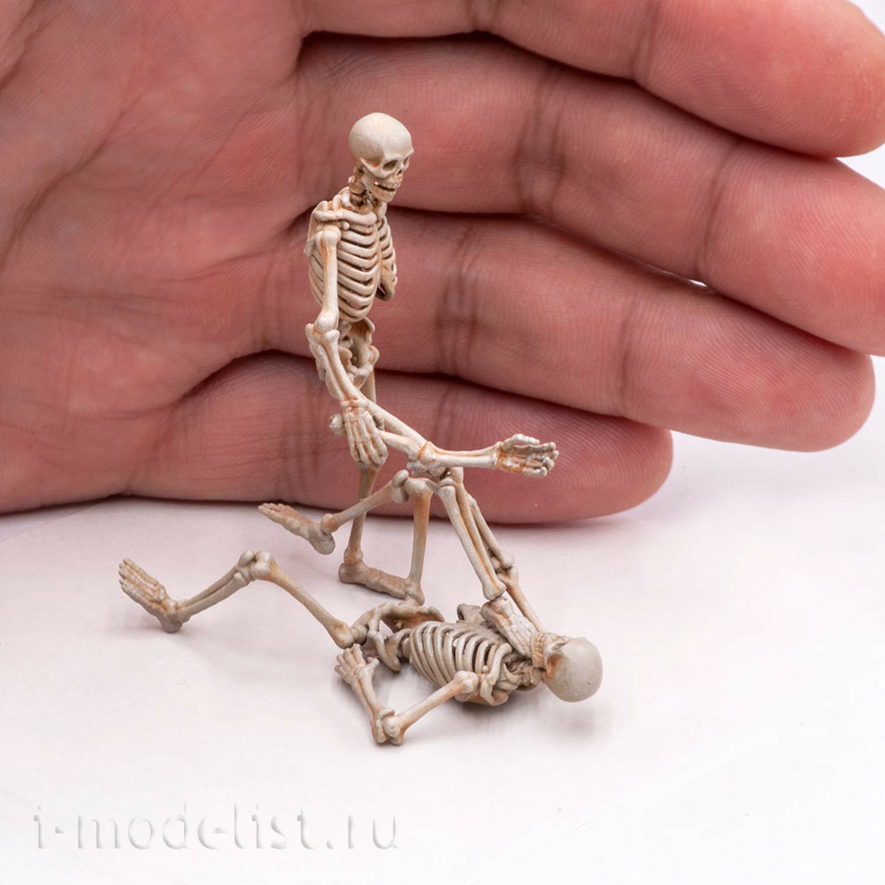 S-206 MiniWarPaint Skeleton, size M (1/32)