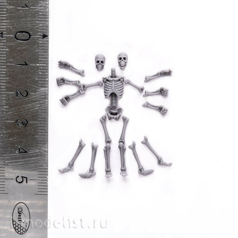 S-205 MiniWarPaint Skeletons, size S, 2 pcs.
