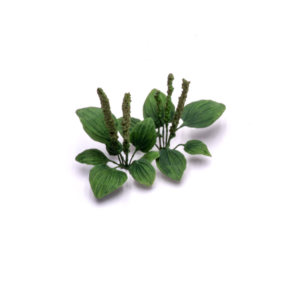 S-185 MiniWarPaint Plantain, size L