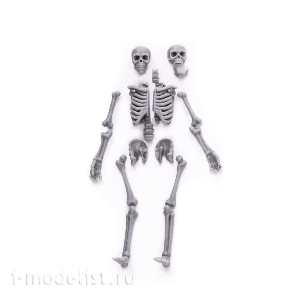 S-207 MiniWarPaint Skeleton, size M (1/35)