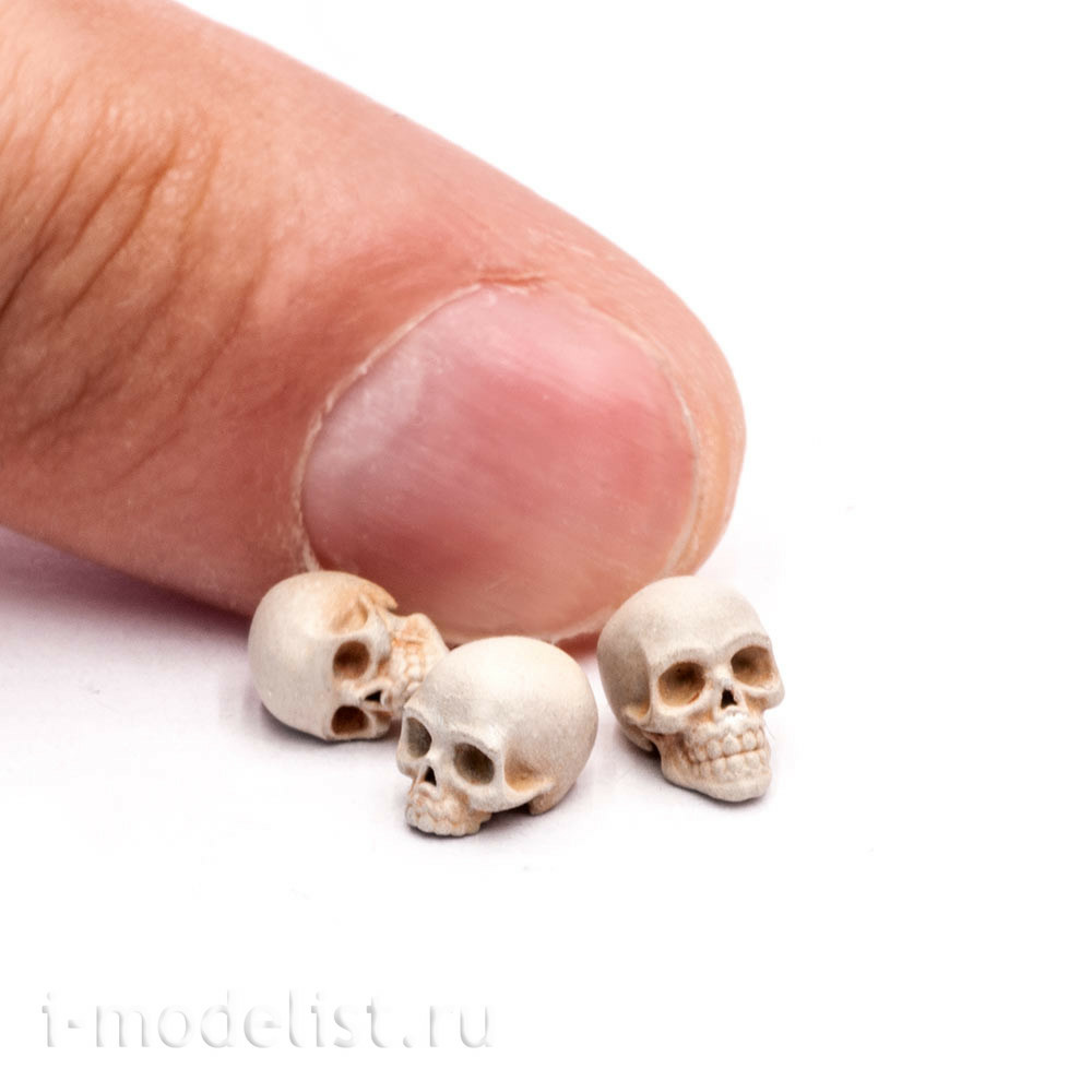S-210 MiniWarPaint Human Skulls, size M (1/32), 10 pcs.