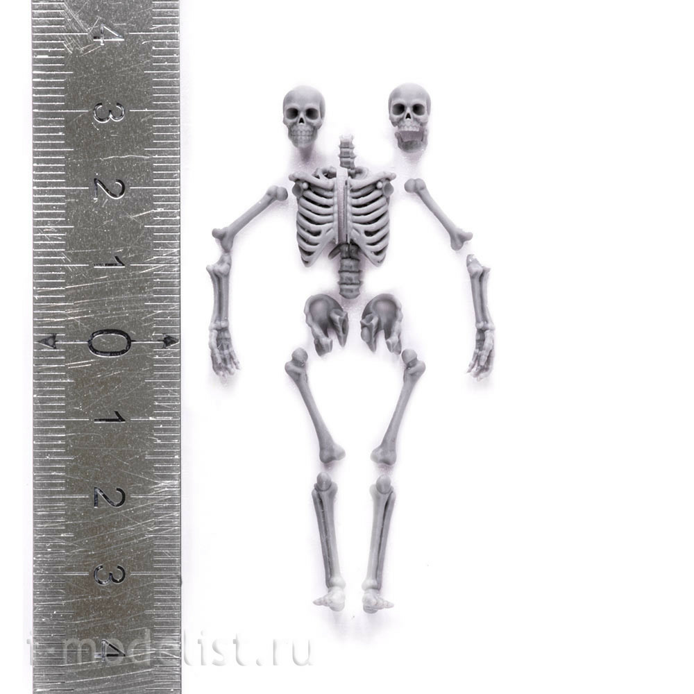 S-206 MiniWarPaint Skeleton, size M (1/32)