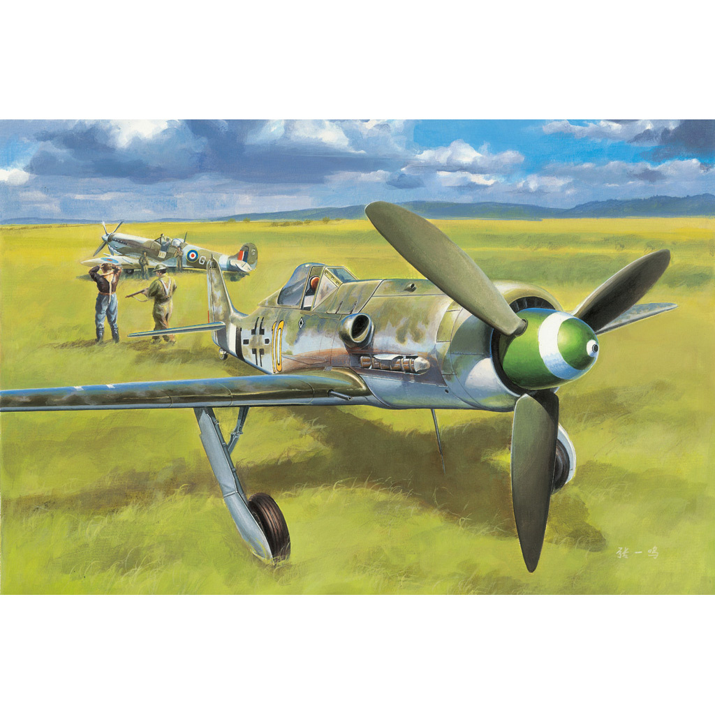 81721 HobbyBoss 1/48 Focke-Wulf FW190D-13