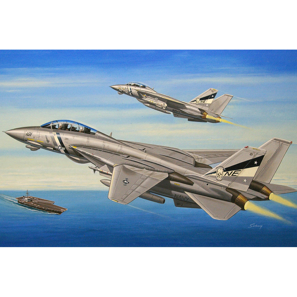 HobbyBoss 1/72 80278 F-14D Super Tomcat