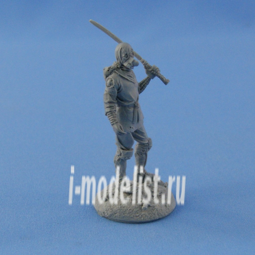 NS-F54/32015 North Zvezda Cyber Ninja with display base
