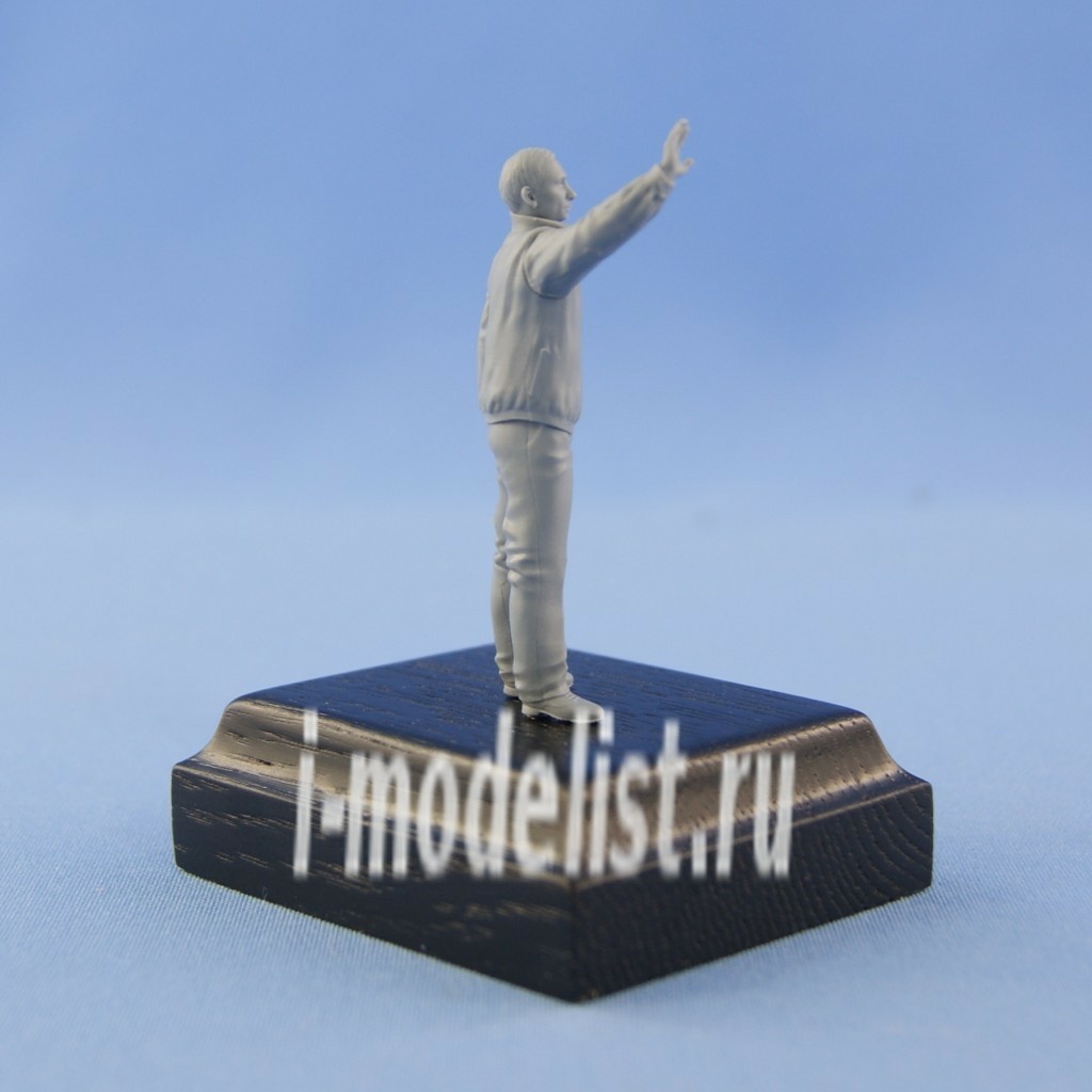 NS-F54/32017 North Zvezda Vladimir Putin Resin figure with wooden display base