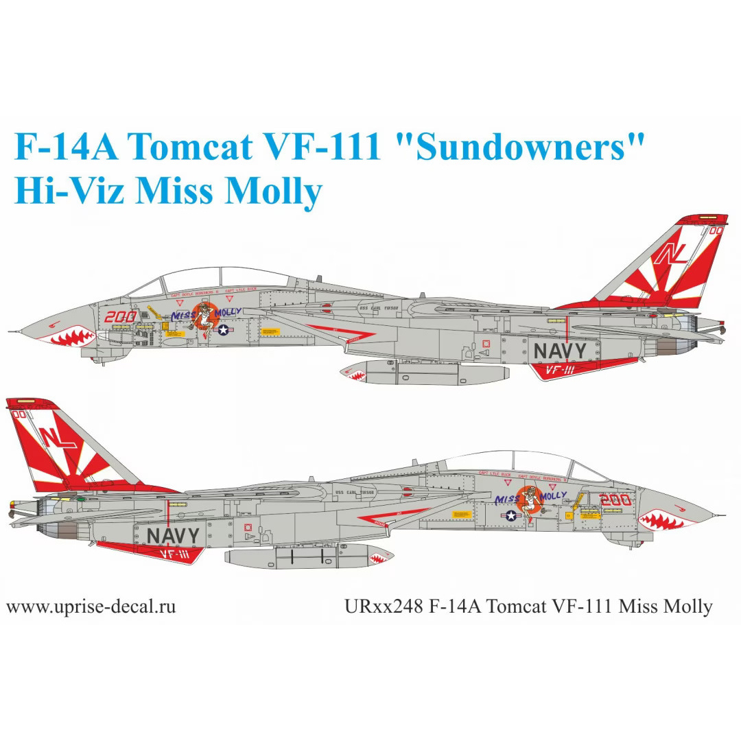 UR48248 Sunrise 1/48 Decals for F-14A Tomcat VF-111 Pt.1 Miss Molly	