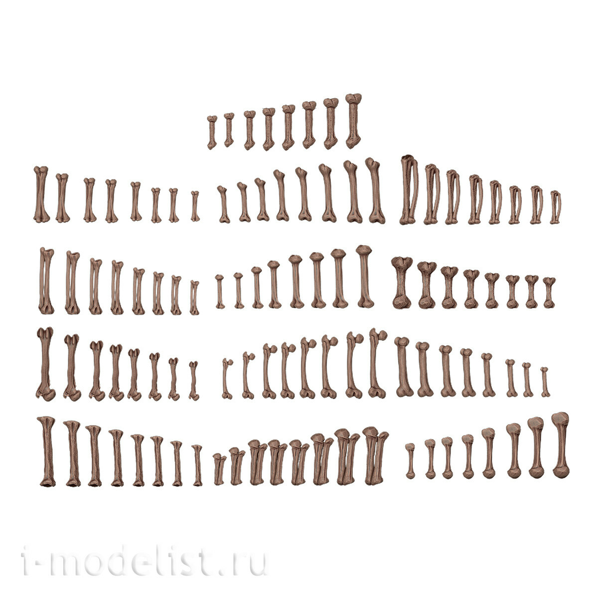 AKBIT0013 AK Interactive 3D-печать BASING BITS Человеческие кости / Human Bones