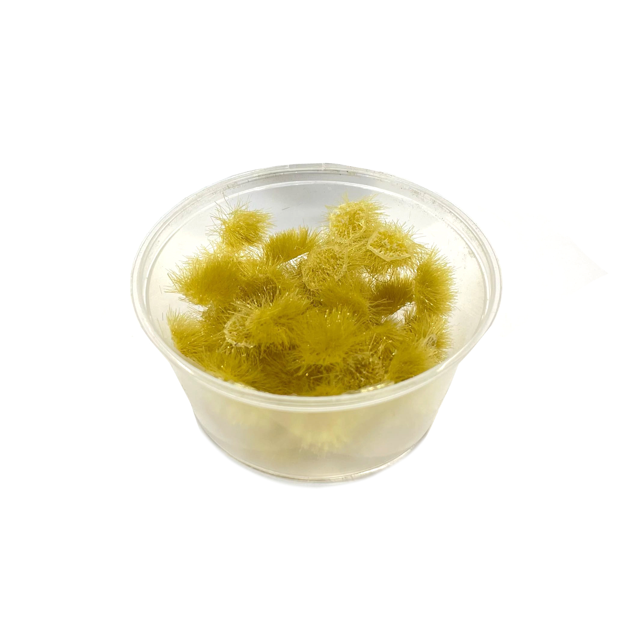 30121 DasModel Grass hummocks 5 mm. golden / 50 pcs.