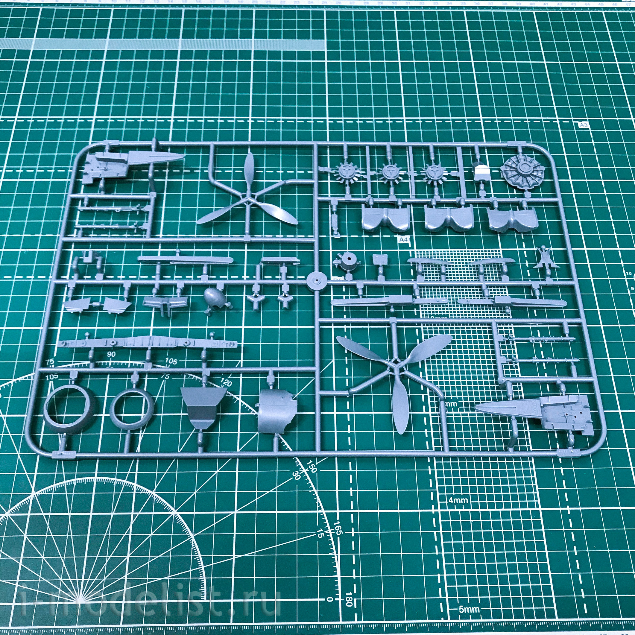 82143 Edward 1/48 Fw 190A-5 light fighter 