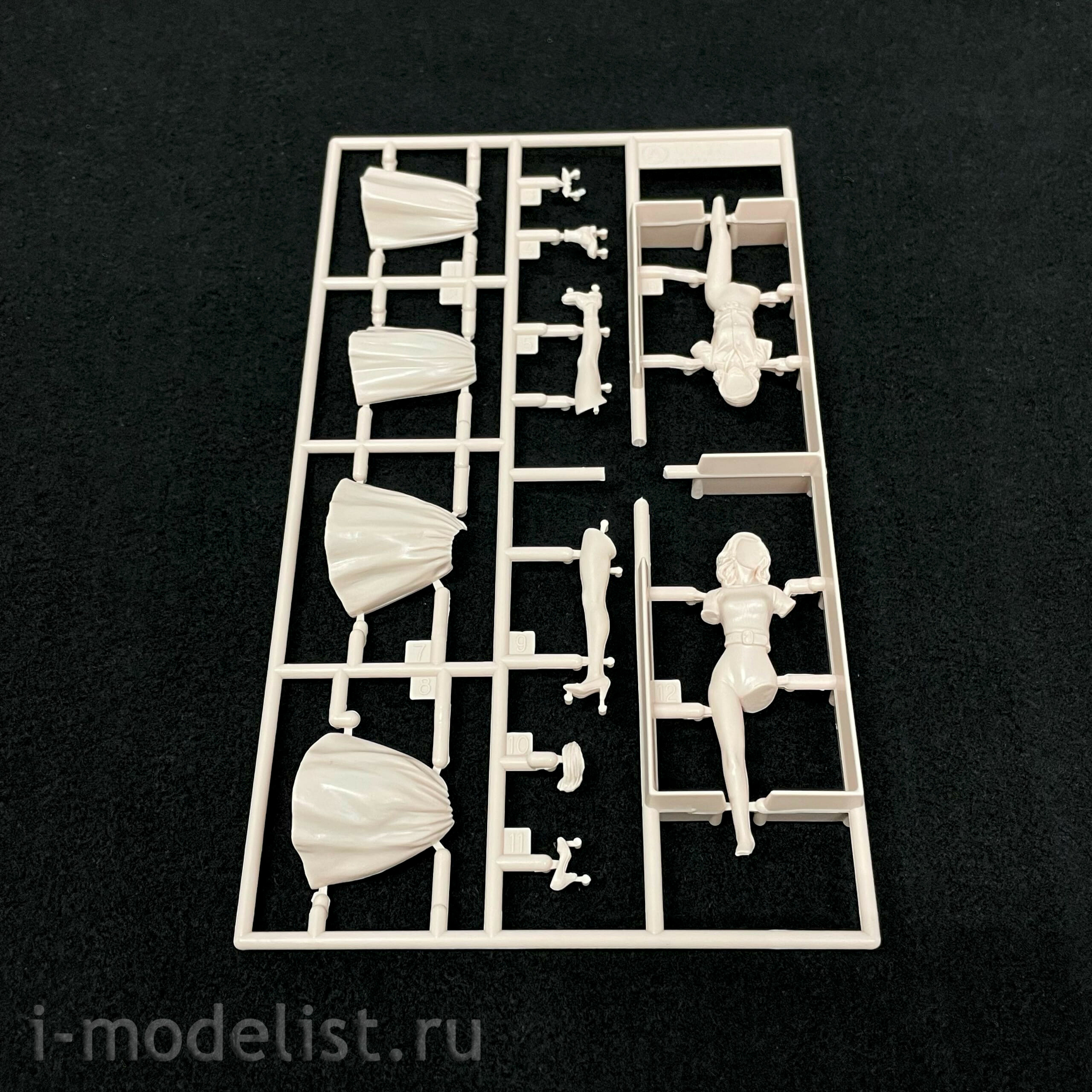 29110 Hasegawa 1/24 Figurines 