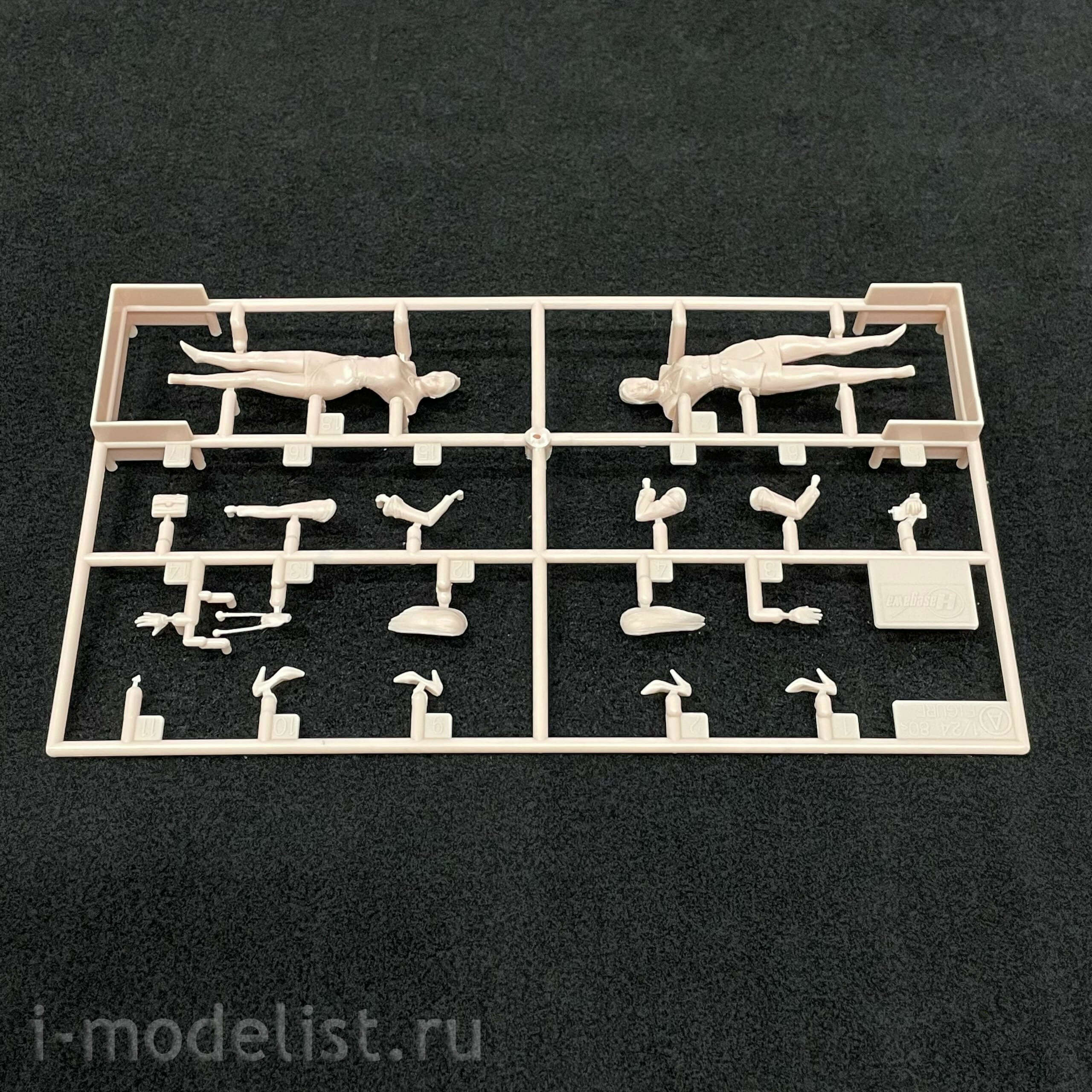 29101 Hasegawa 1/24 Figurines 