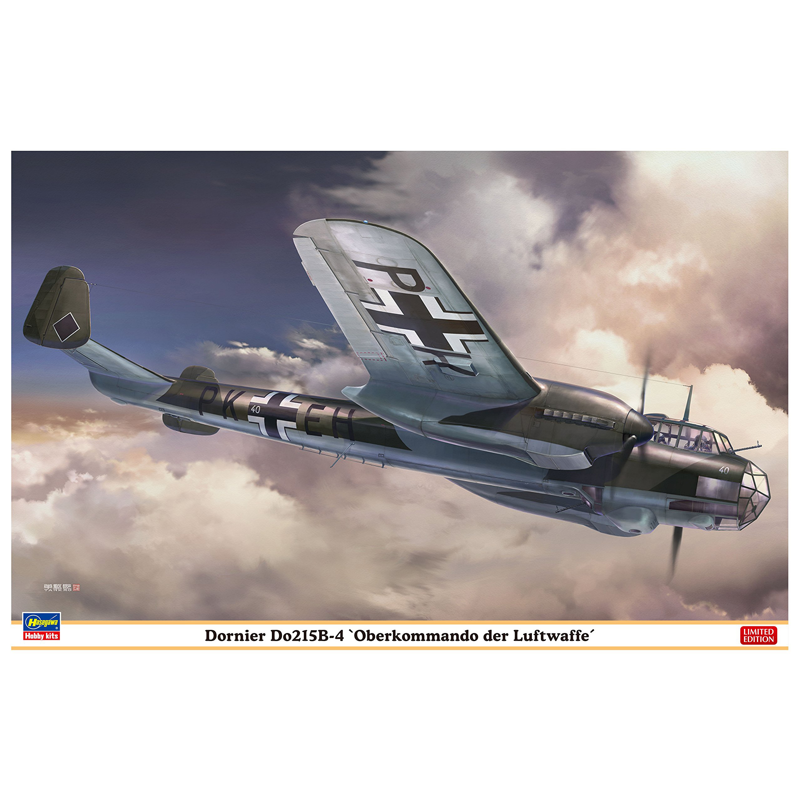 07443 Hasegawa 1/48 Dornier Do215B-4 