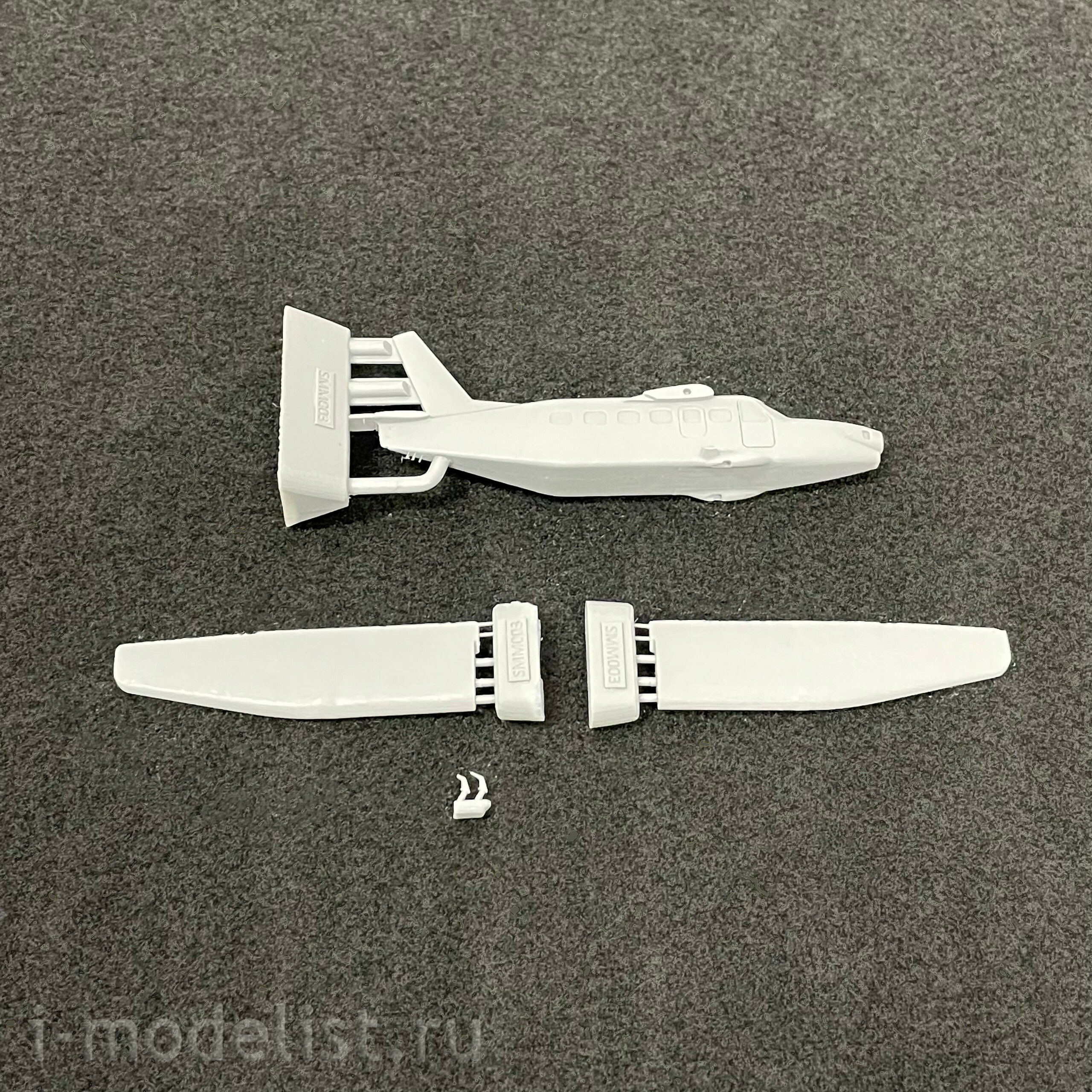 SMM003 Snake Model 1/144 Scale model of the Baikal aircraft