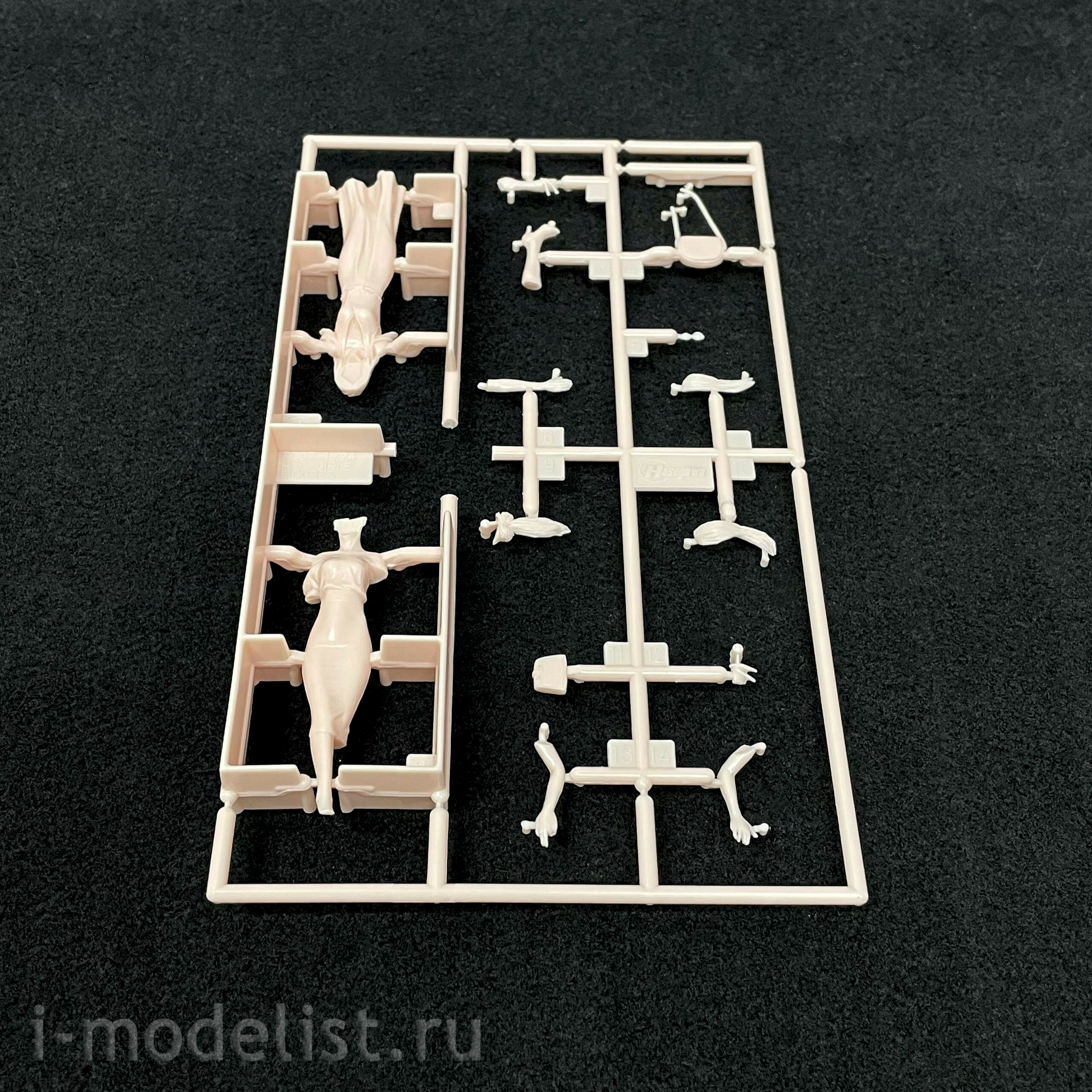 29107 Hasegawa 1/24 Action Figures 