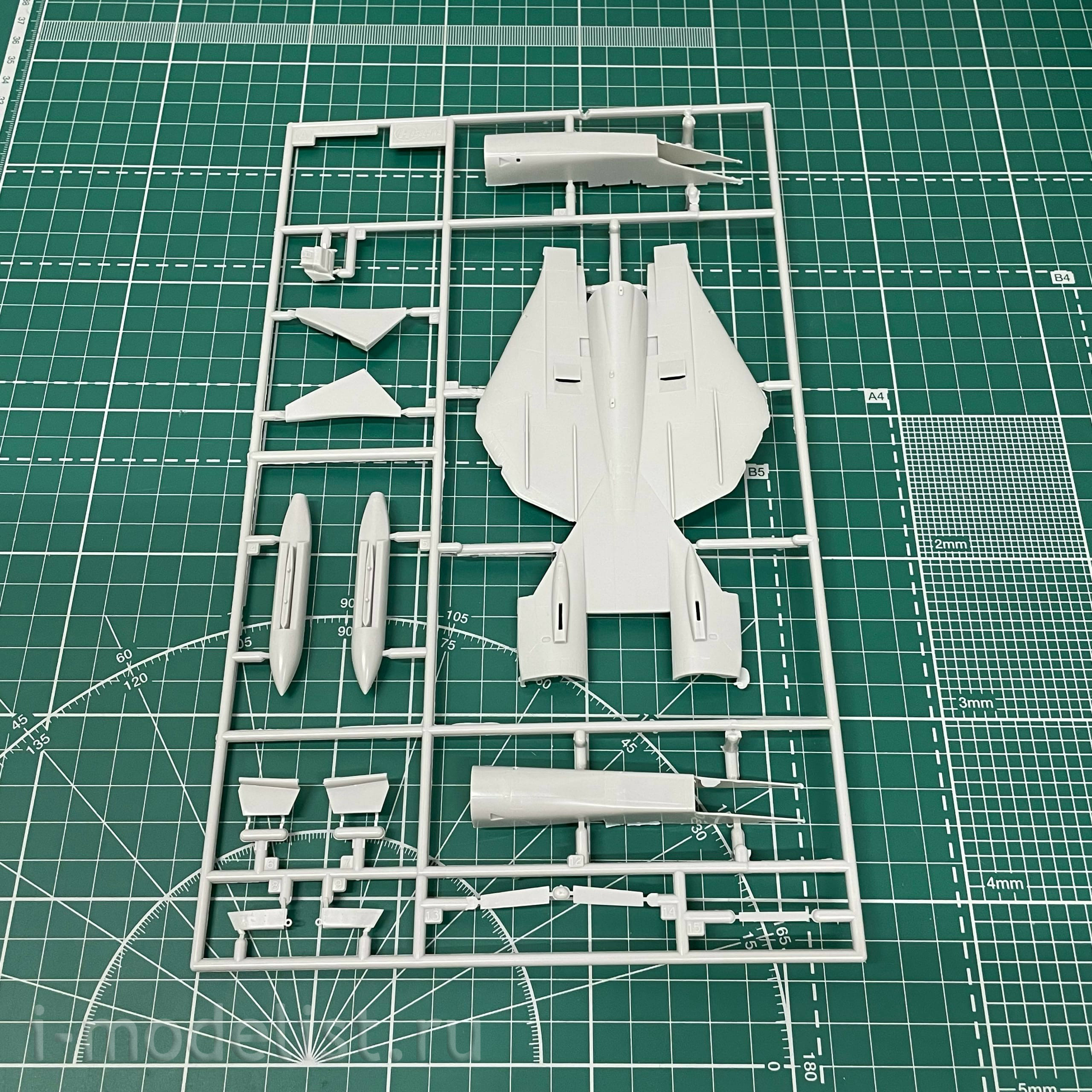 02242 Hasegawa 1/72 F-14A Iranian armed forces