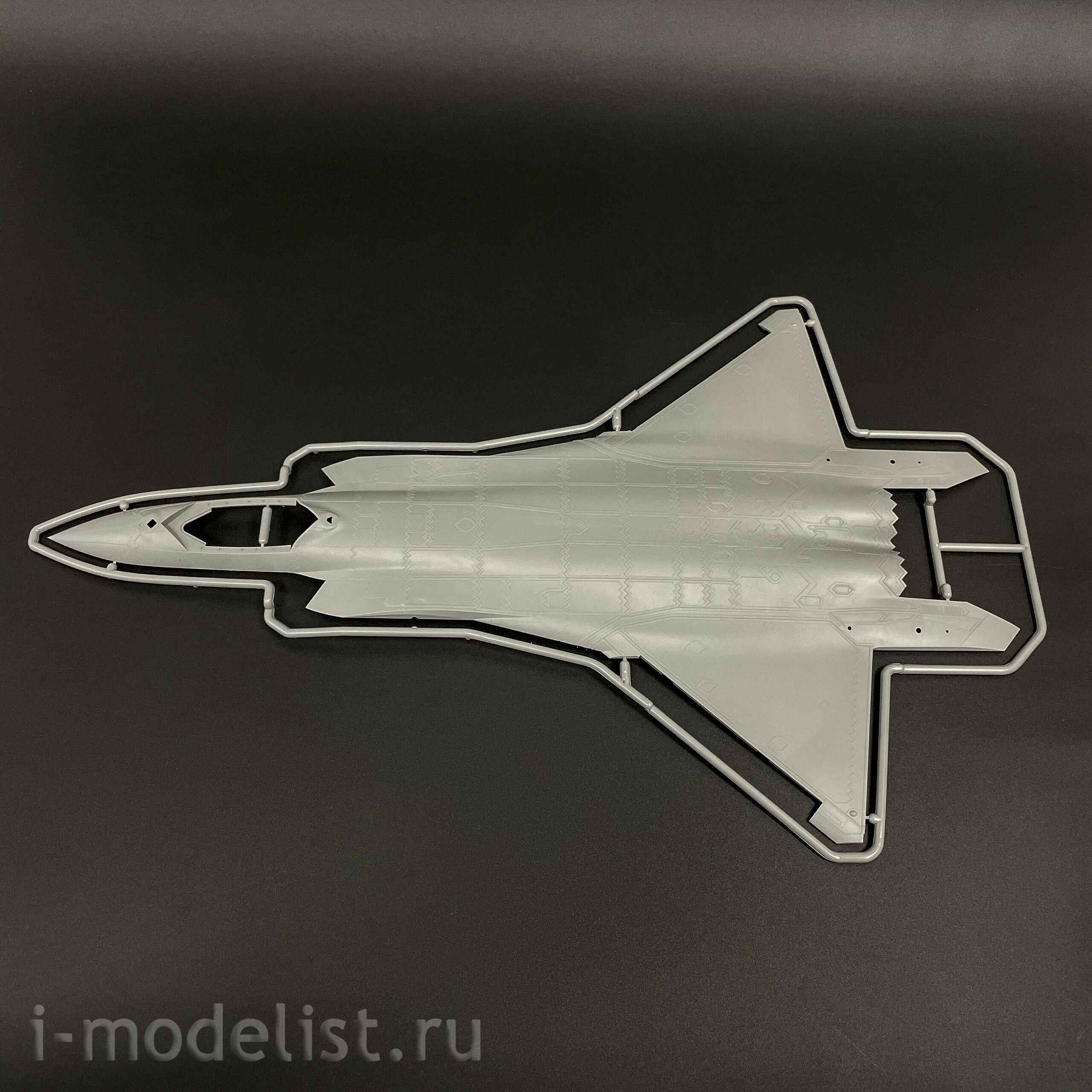 LS-002 Meng 1/48 Chinese Chengdu J-20 Multi-role fighter