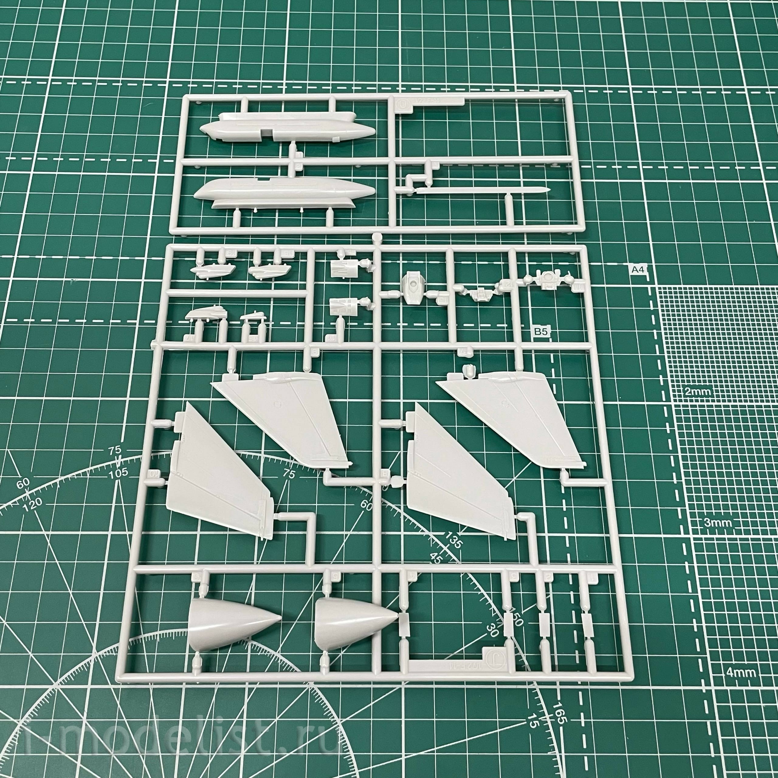 02242 Hasegawa 1/72 F-14A Iranian armed forces