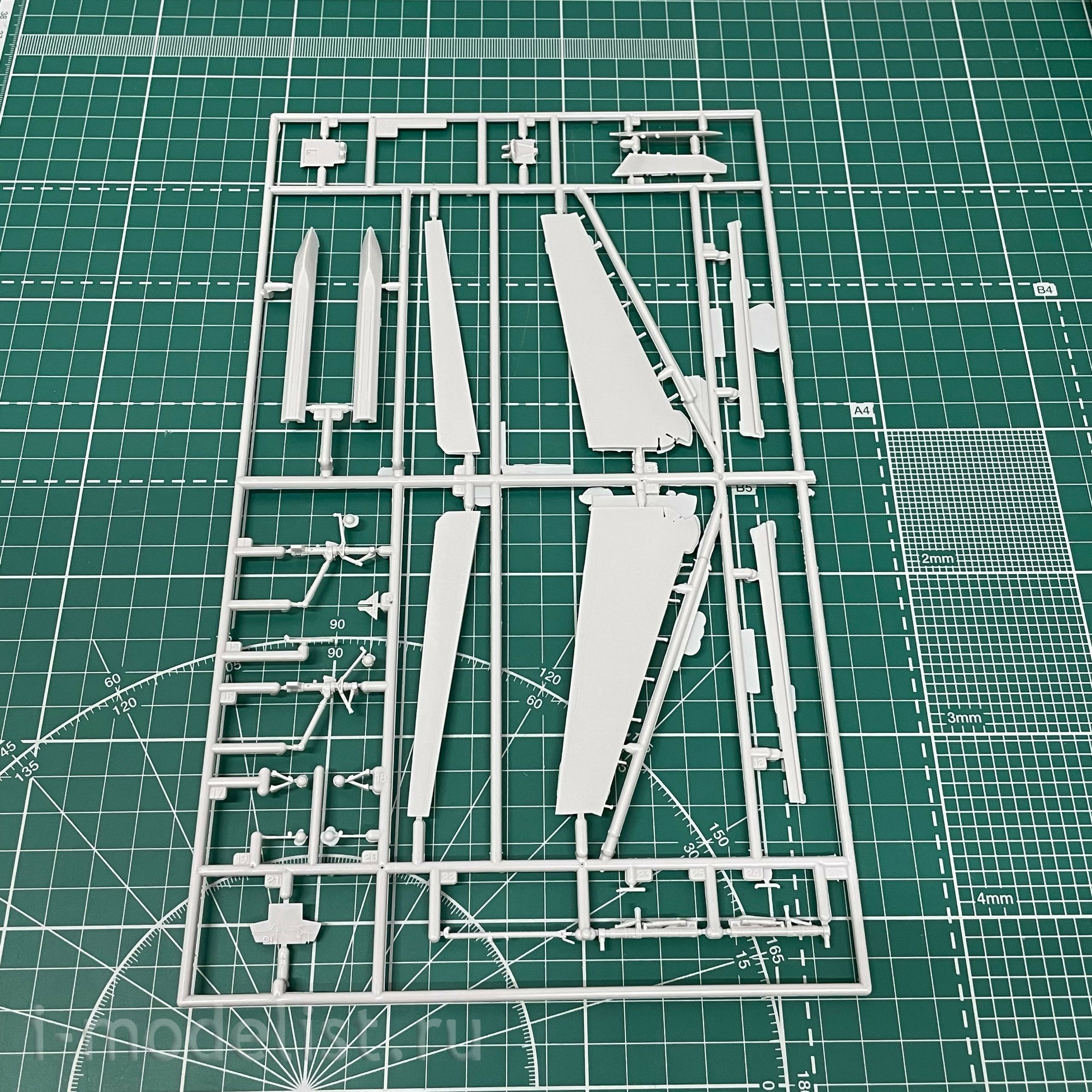 02242 Hasegawa 1/72 F-14A Iranian armed forces