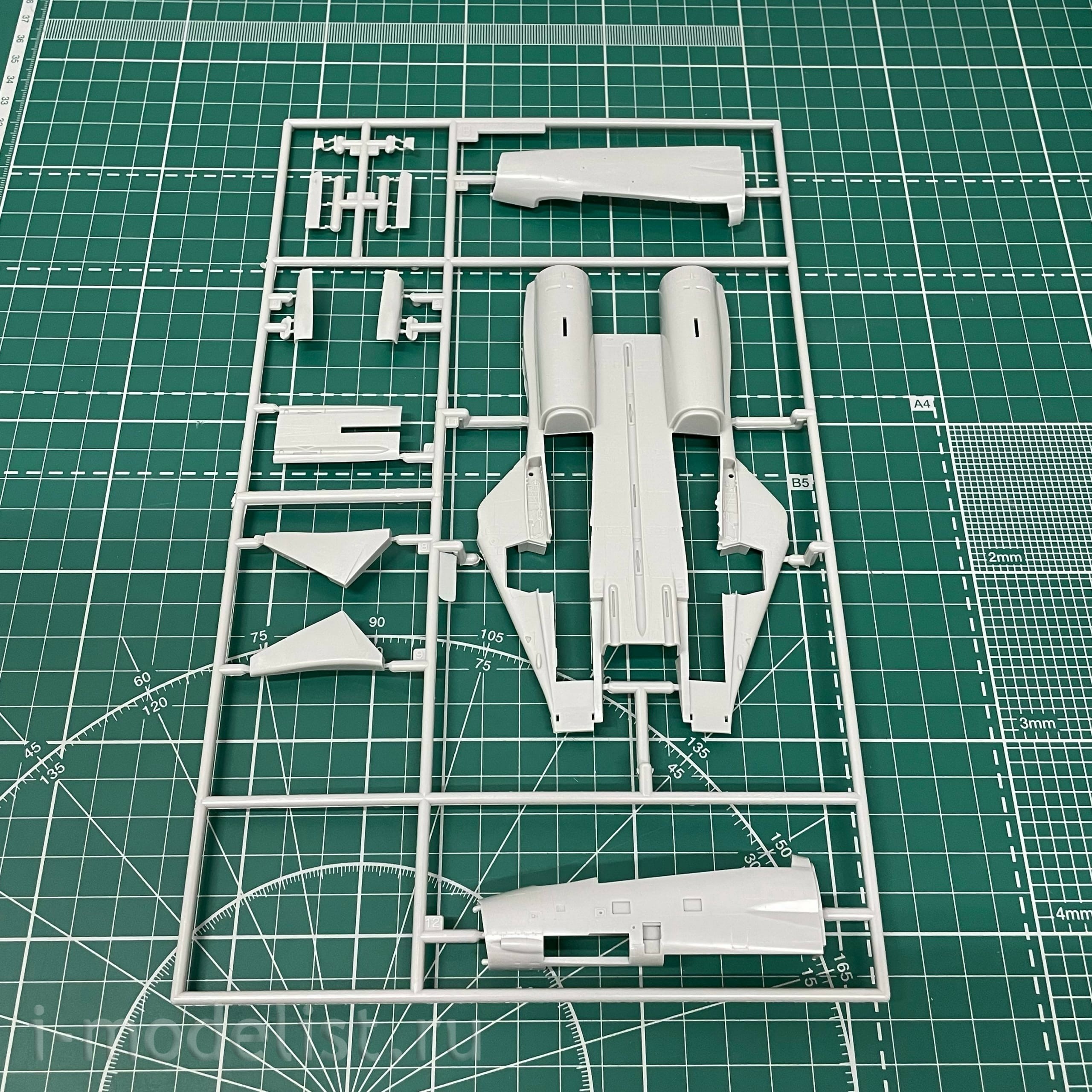 02242 Hasegawa 1/72 F-14A Iranian armed forces
