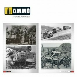 AMIG6273 Ammo Mig Book 