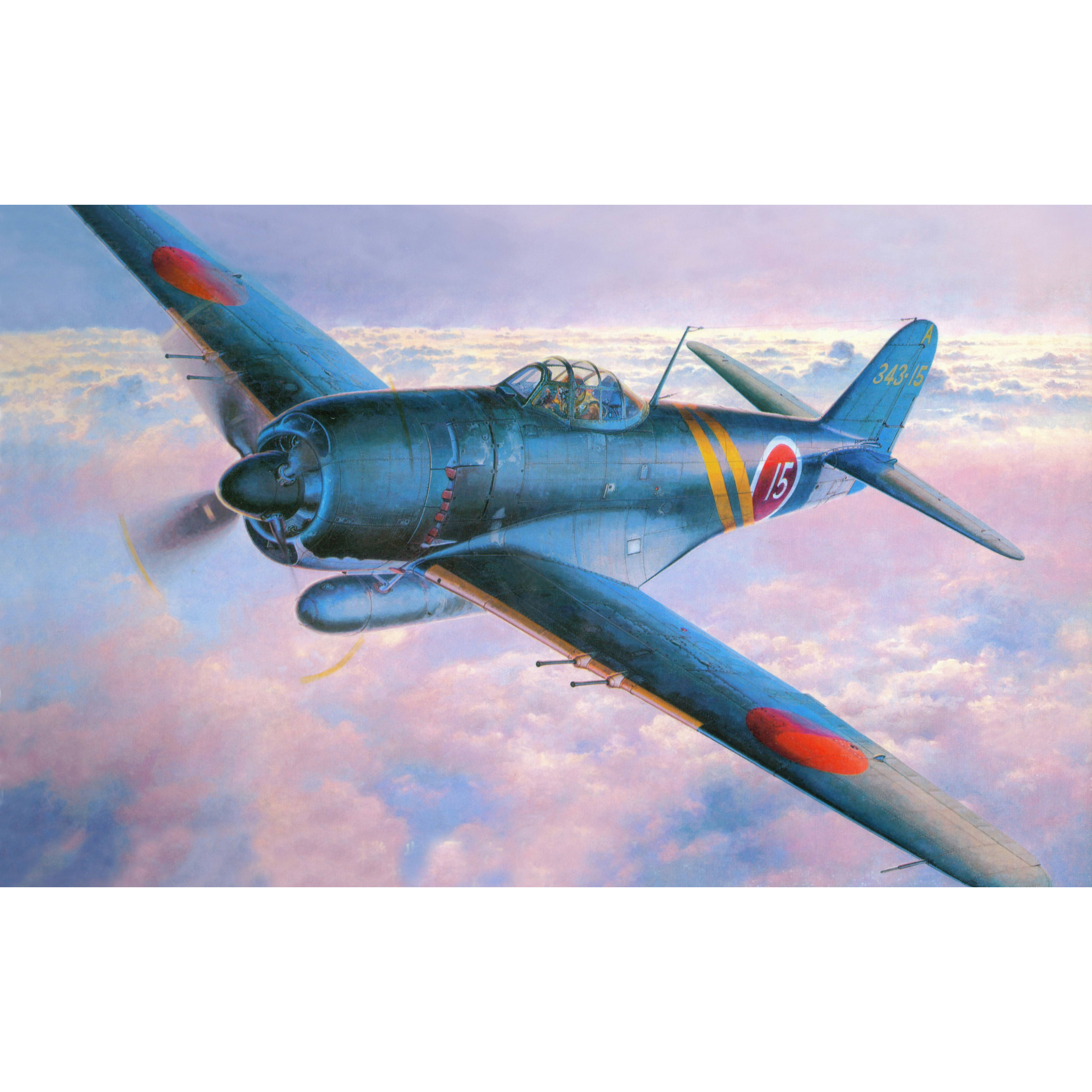 09073 Hasegawa 1/48 Shidenkai Aircraft 