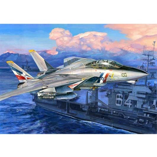 Trumpeter 03203 1/32 F-14D Super Tomcat