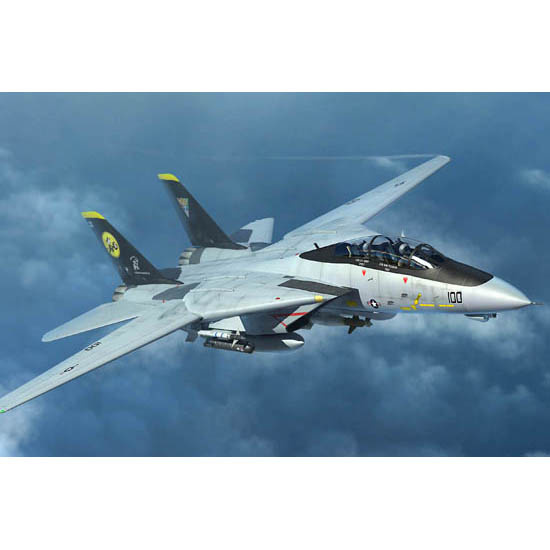 03919 Trumpeter 1/144 F-14D