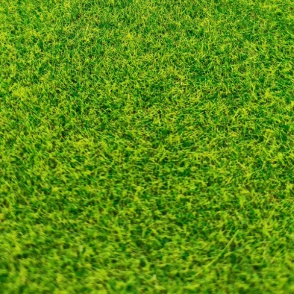 3030 DasModel 1/35 Grass cover (A4 Sheet) (summer)