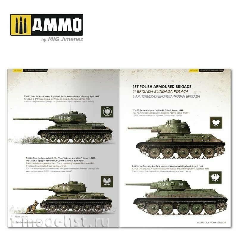 AMIG6145 Ammo Mig Book 
